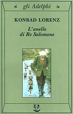 salomone